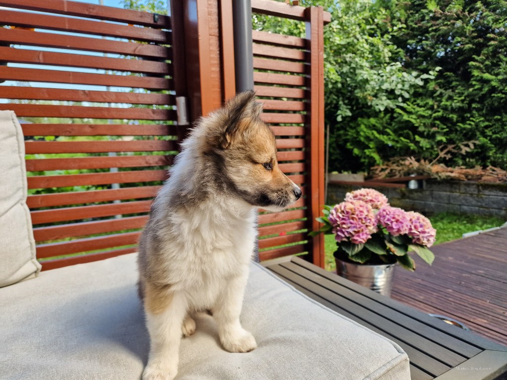 Unni tarkkailee ukkosta. 